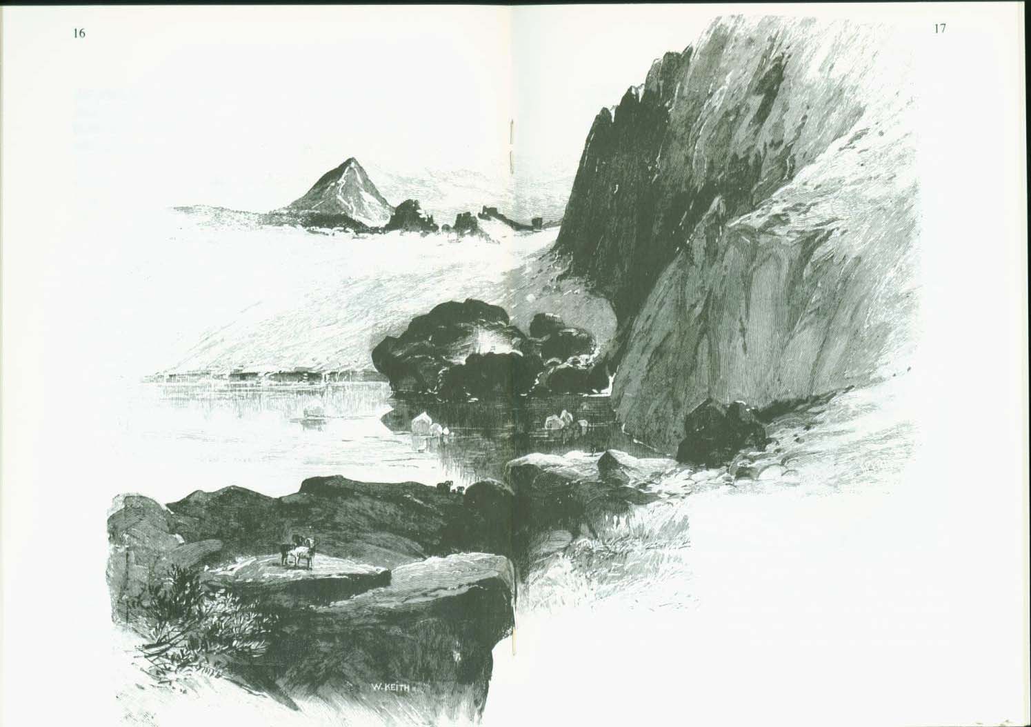 THE WILD SHEEP 1881.vist0017e